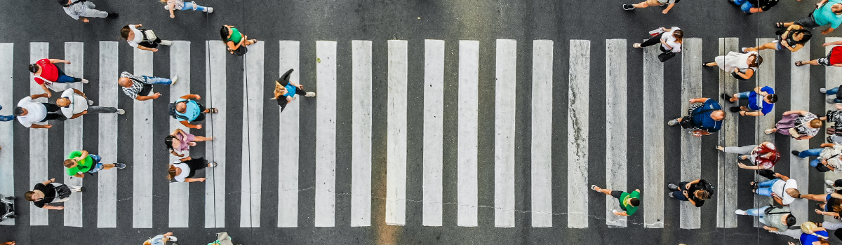 Are zebra Crossings Important for the Safe Crossing of Roads?